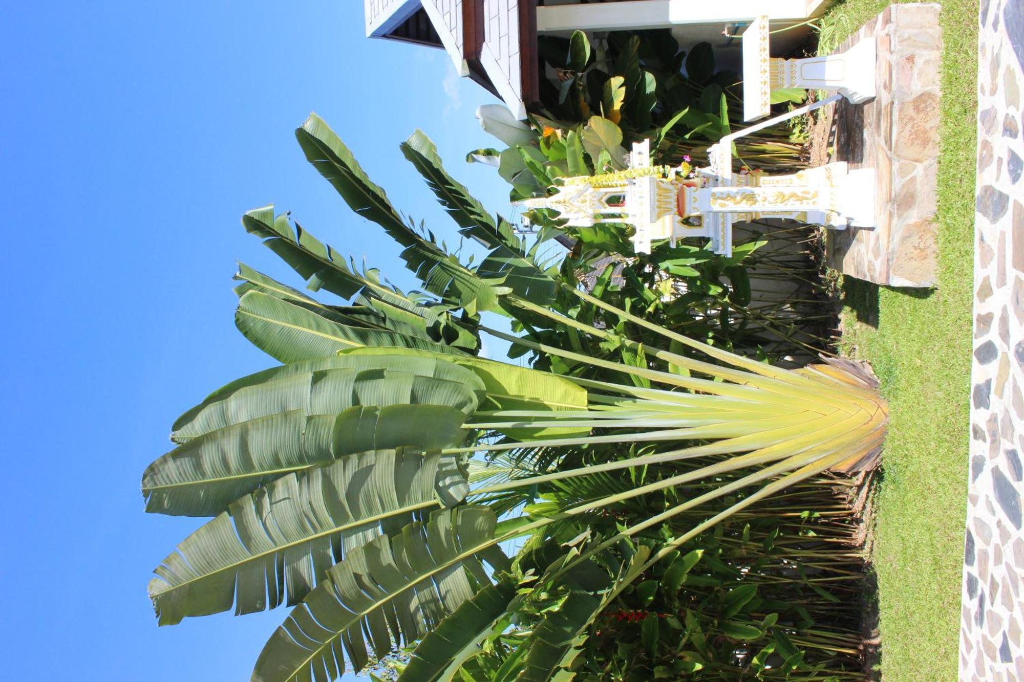 Villa Colina Khao Lak Rooms And Bungalows - Adults Only Экстерьер фото